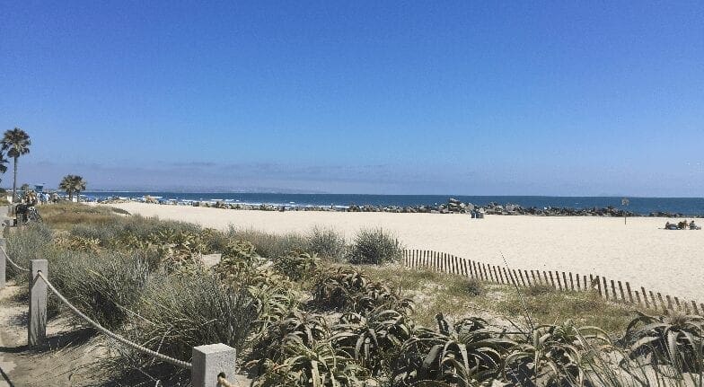 20 Things You Need To Hear Today