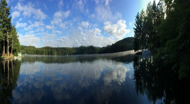 Things You Know to Be True Owning a Lake House